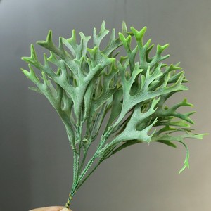 span class=h>鹿角/span>草软装花艺小草把束塔松天门冬草植物墙