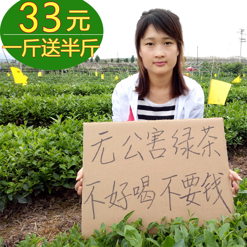 日照绿茶2018新茶春茶无农害山东炒青高山茶叶礼盒散装500g浓香