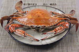 梭子蟹   母蟹   带黄  蟹黄  舟山 海鲜