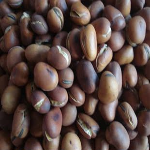 农家纯手工铁锅炒蚕豆零食500gx5袋铁硬炒胡豆即食原味特硬铁蚕豆