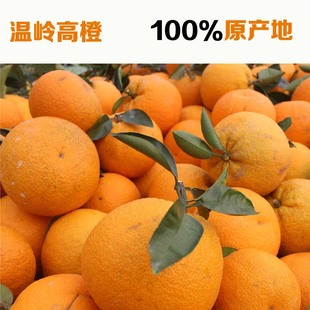温岭高橙,岭,台州岭(第3页)_大山谷图库