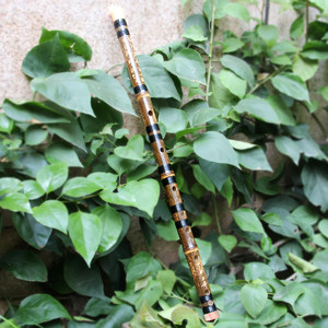 萧笛子成人图片