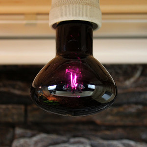  span class=h>爬虫 /span> span class=h>夜灯 /span>夜间加热灯加热