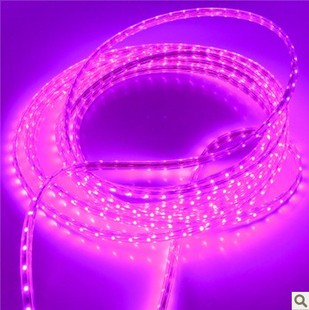 led3528紫红色效果贴片灯带220v ktv酒店客厅背景墙暗槽灯条