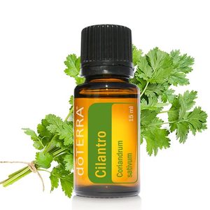 芫荽叶精油价格