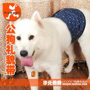 【内裤卫生带图片】内裤卫生带图片大全