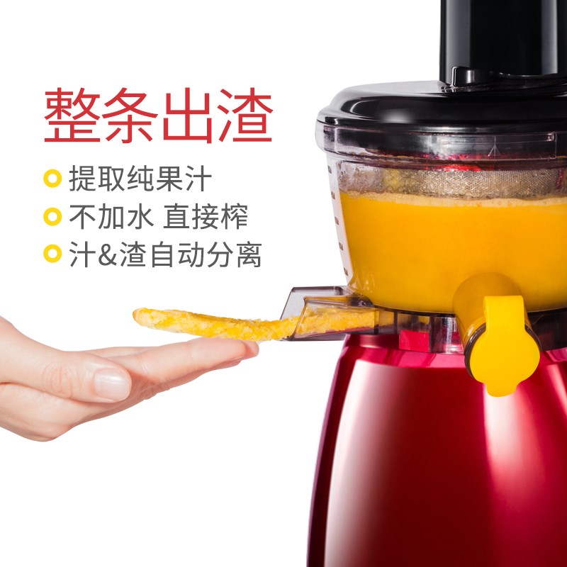 橙汁汁渣分离榨汁机玉米果蔬水果椰子柠檬小功率炸子机可以做两用