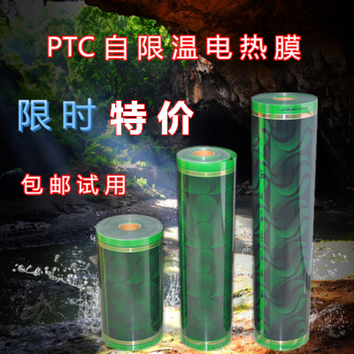 韩国电热膜地暖PTC省电碳晶碳纤维电暖炕家火炕电地热电热板包邮