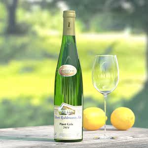 灰皮诺白葡萄酒专场