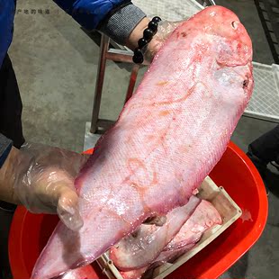 6 已售0件 ￥( 0折) 淘寶 舟山寧波新鮮野生龍利魚比目魚踏板魚舌鯤魚