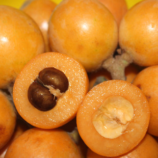 新鲜水果大红袍枇杷果3斤江浙沪包邮 塘栖枇杷每斤10个左右胜米易