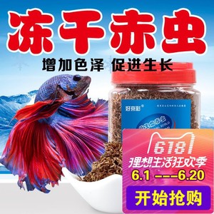 【冻干红虫鱼食价格】最新冻干红虫鱼食价格\/