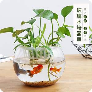 优思居 透明玻璃水培水养植物花瓶绿萝花盆客