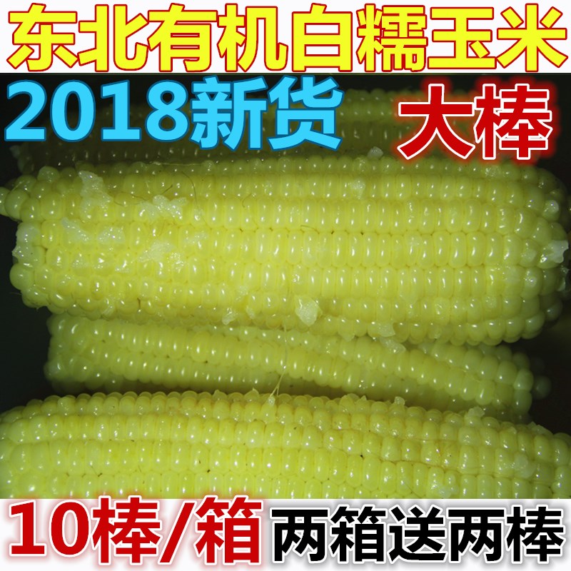 东北农家糯玉米棒10根粘玉米黑龙江新鲜甜黏糯玉米棒粒速冻苞米粒