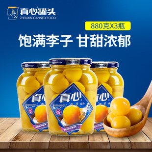 真心罐头新鲜水果糖水李子罐头即食罐头健康食品玻璃瓶880g*3