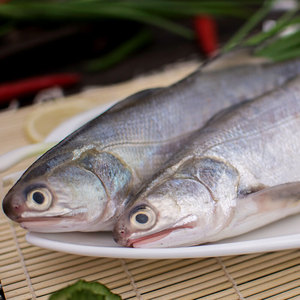 新鮮野生海捕海魚野生馬友魚午筍魚午仔魚海鮮特產魚當天海捕500g