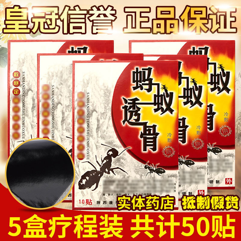 5盒疗程装共计50贴正品黑蚂蚁透膏贴黑蚂蚁透骨贴黑蚂蚁膏贴疼痛