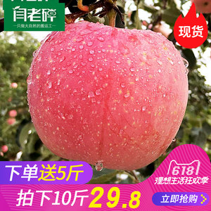【烟台水果苹果价格】最新烟台水果苹果价格\/