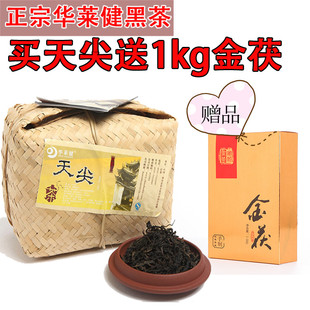 华莱黑茶 湖南安化黑茶正品华莱健天尖茶2kg礼品茶野生大叶茶散茶