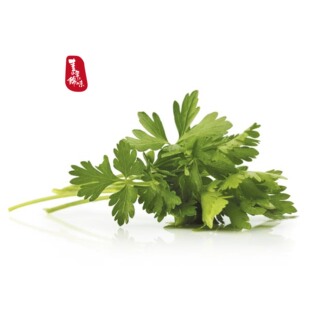 新鲜意大利芹 细叶芹 巴西里 parsley巴西利 意大利芹菜200g