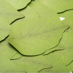 便签纸叶子图片