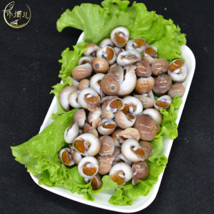 【小烟儿】青岛本地现捕鲜活香螺新鲜金丝螺扁玉螺 500g/份