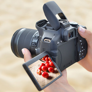 佳能canonds126311单反相机专场