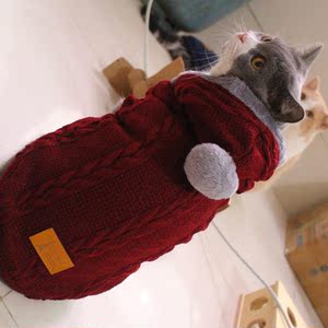 连帽针织宠物毛衣外套猫咪棉衣美短英短猫衣服加绒秋冬猫服装无袖