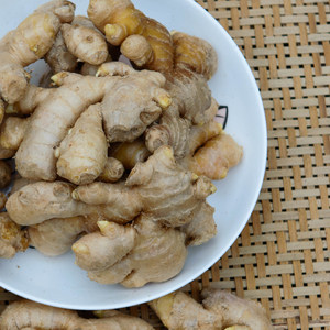 四川小黄姜新鲜老姜母月子姜农家自种生姜种子鲜姜土姜非嫩姜