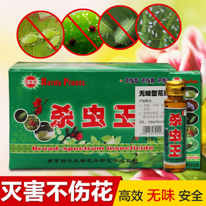 植物杀虫王花农资杀虫剂白蚁杀虫剂全窝端护花神杀虫剂包邮 span