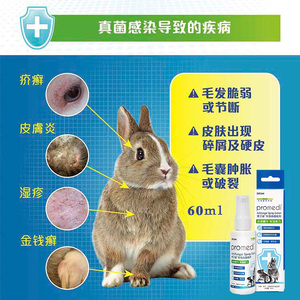 dr344博卫迪&trade; 特强真菌真菌消兔博士真菌喷雾皮癣疥鲜喷剂 60ml