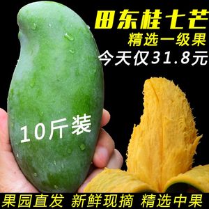 【百色芒果大青芒价格】最新百色芒果大青芒价