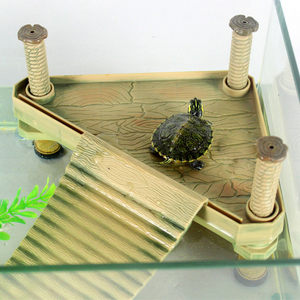 最简单的乌龟浮台制作图片