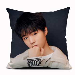 王俊凯抱枕 高能少年团海报周边 礼物订制 创意个性舒适家居靠垫