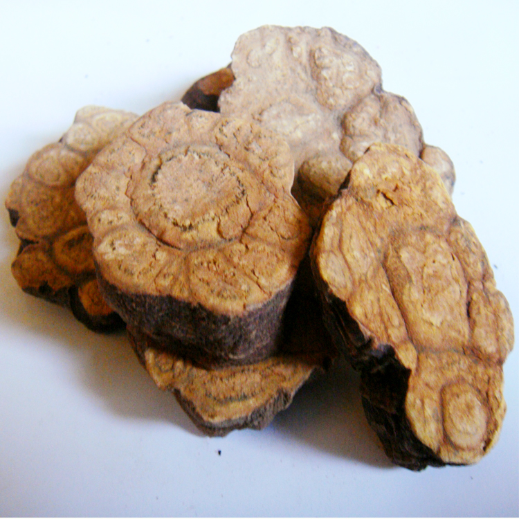 >>生何首乌宝贝列表