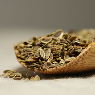 千里香 莳萝籽 千里香包邮 莳萝籽包邮50g 包邮