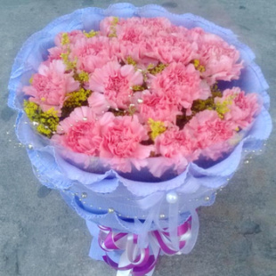 19枝粉康乃馨教师节鲜花巴中市巴州区南江县平昌县同城鲜花